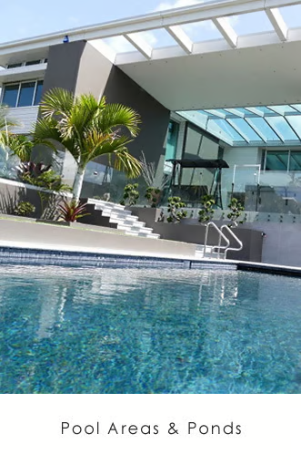 Swimming pool surround and landscaping in Auckland