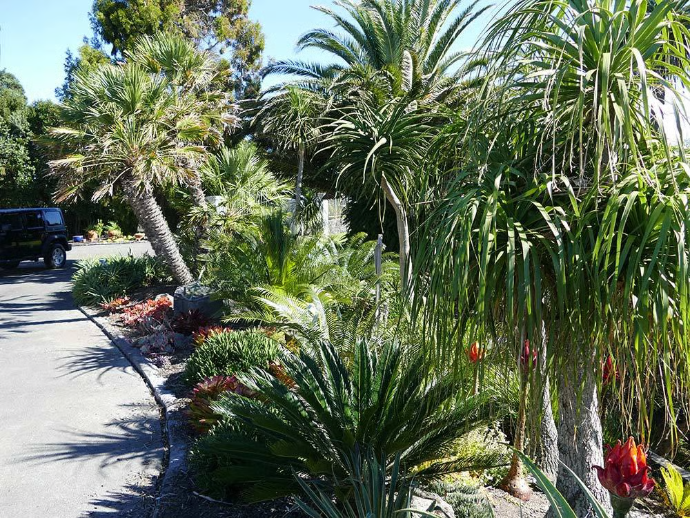 warwick-price-garden-paths-gallery-15